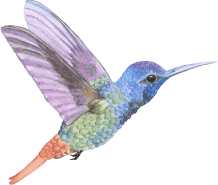 What Our Parents Say